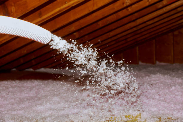 Types of Insulation We Offer in Covina, CA